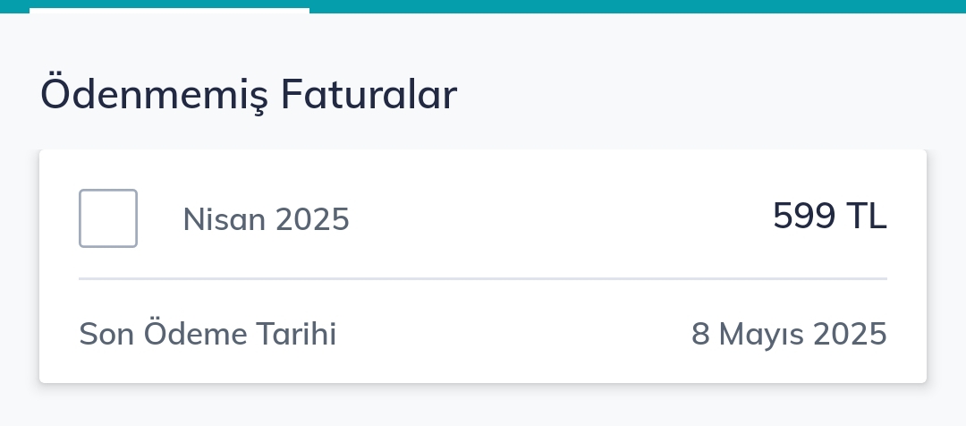 Fatura Görseli